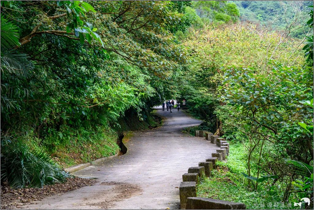 草嶺古道 芒花季