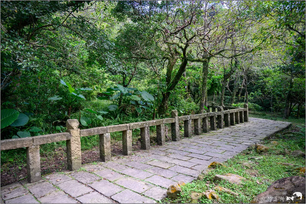 草嶺古道 芒花季