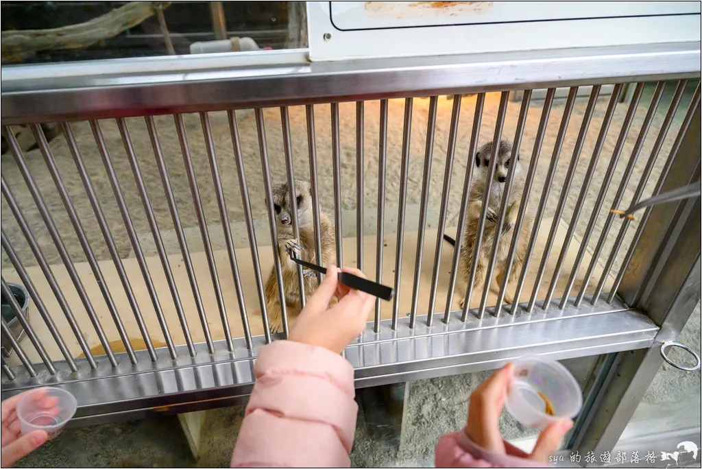 水岸森林物語動物園區