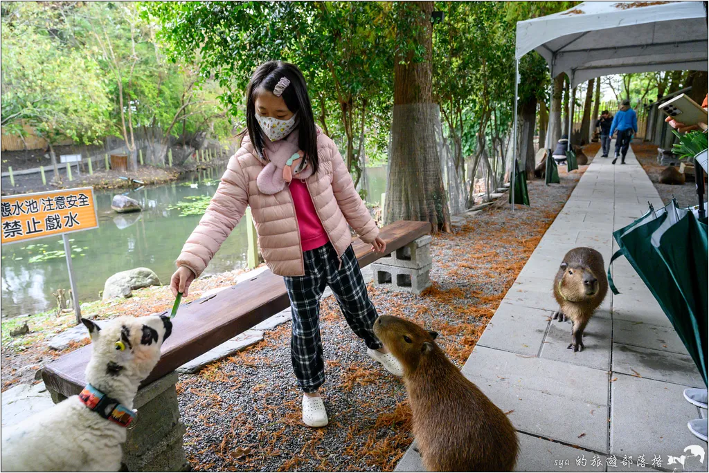 水岸森林物語動物園區