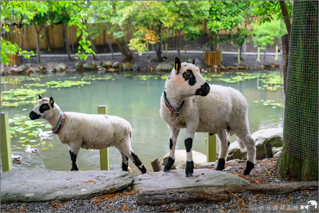 水岸森林物語動物園區