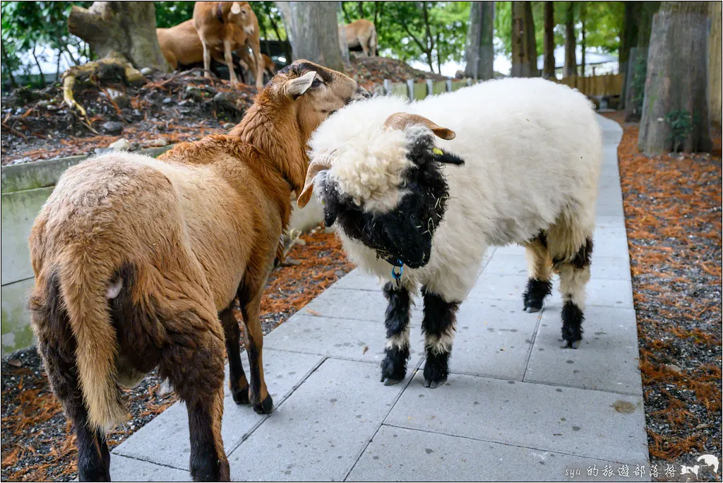 水岸森林物語動物園區