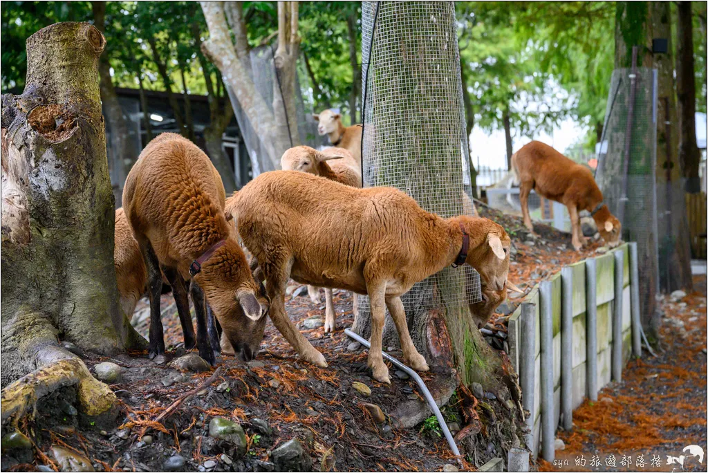 水岸森林物語動物園區