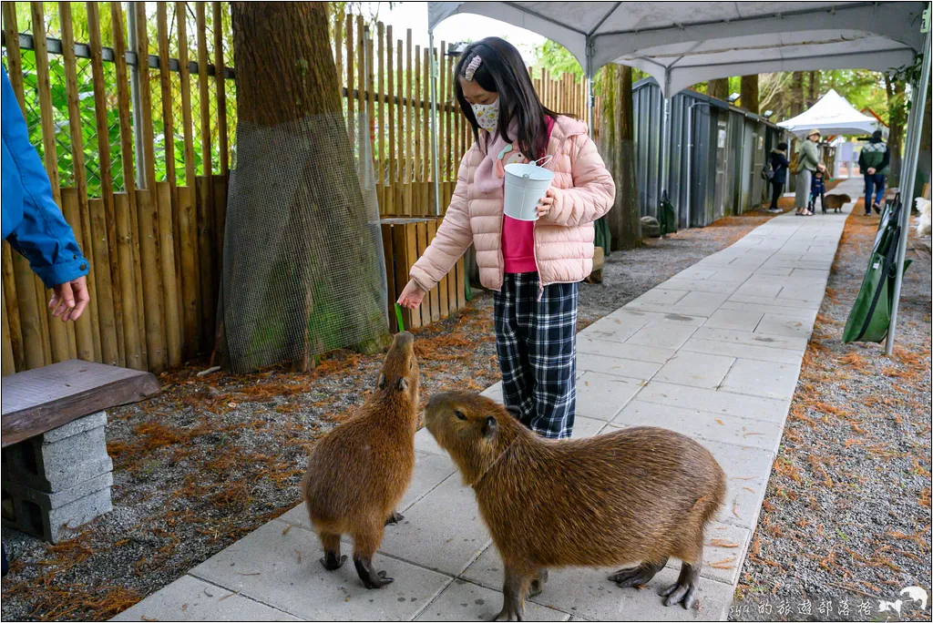 水岸森林物語動物園區