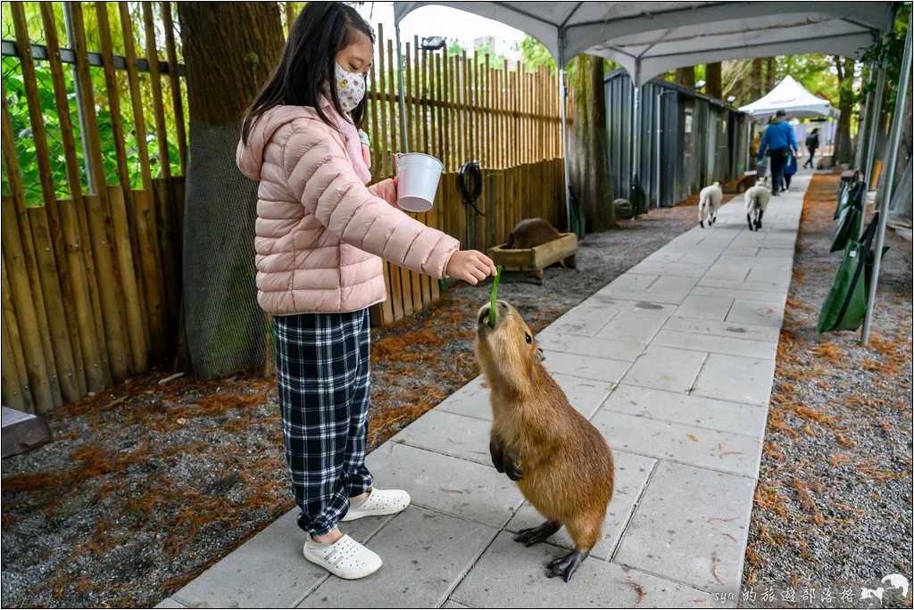 水岸森林物語動物園區