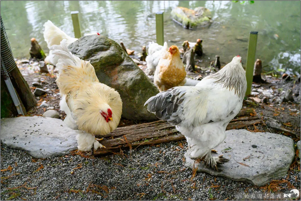 水岸森林物語動物園區