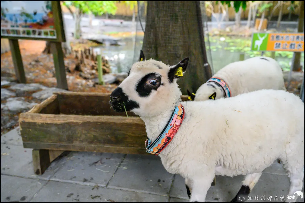 水岸森林物語動物園區