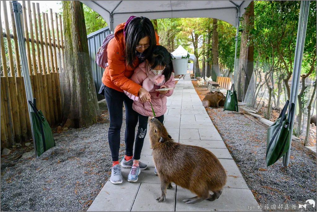 水岸森林物語動物園區