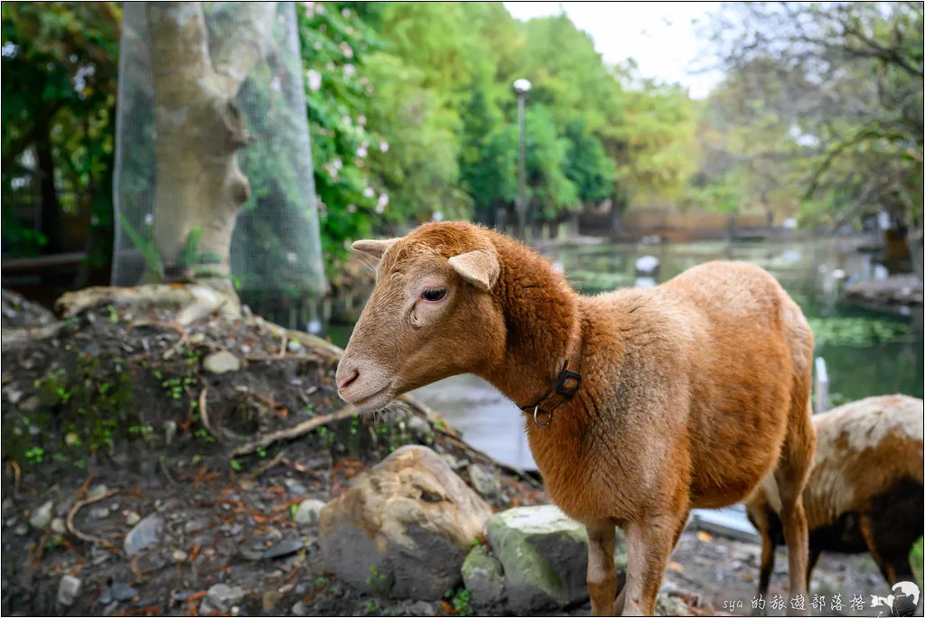 水岸森林物語動物園區