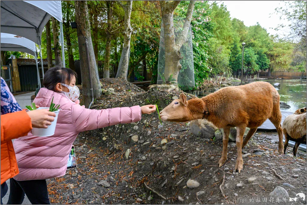 水岸森林物語動物園區