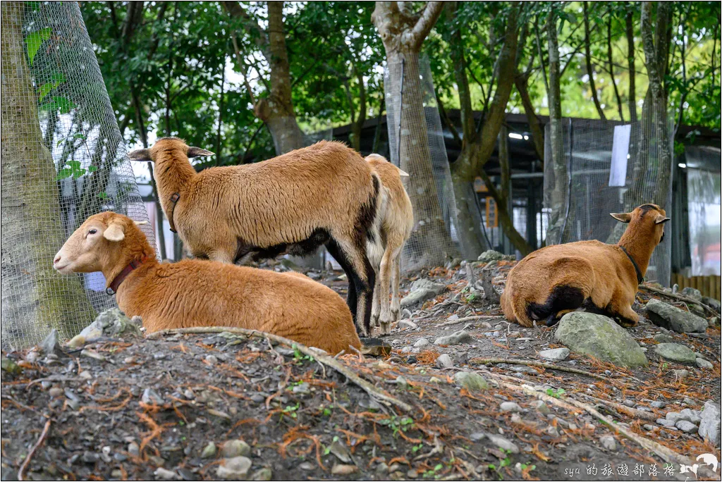 水岸森林物語動物園區