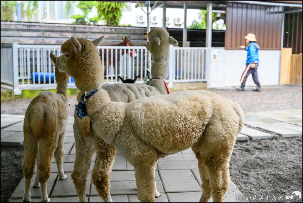 水岸森林物語動物園區