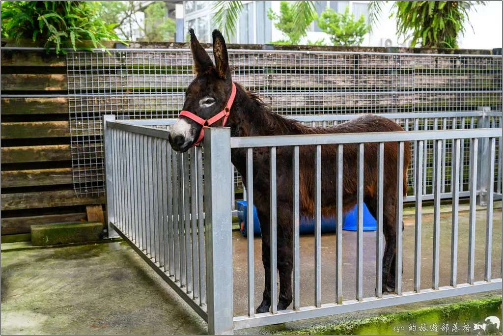 水岸森林物語動物園區