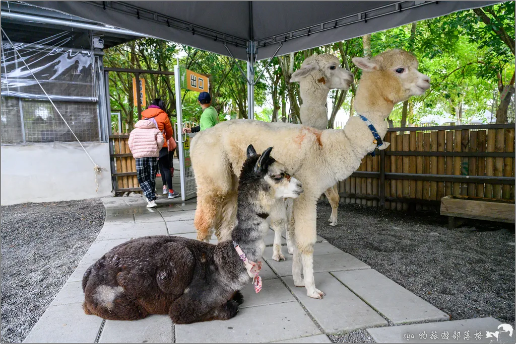 水岸森林物語動物園區