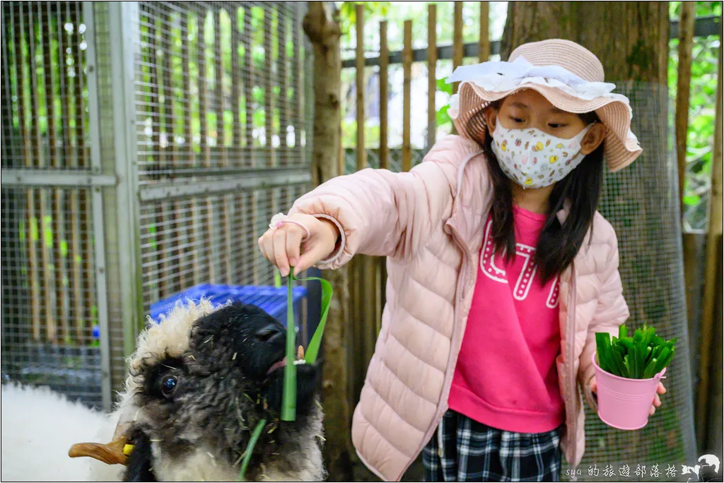 水岸森林物語動物園區