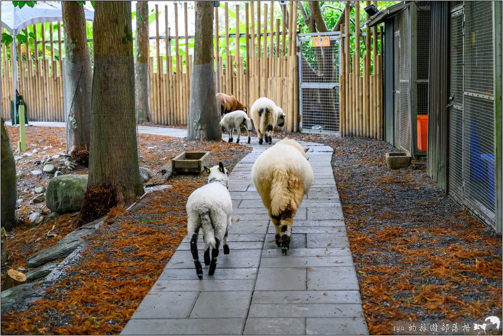 水岸森林物語動物園區