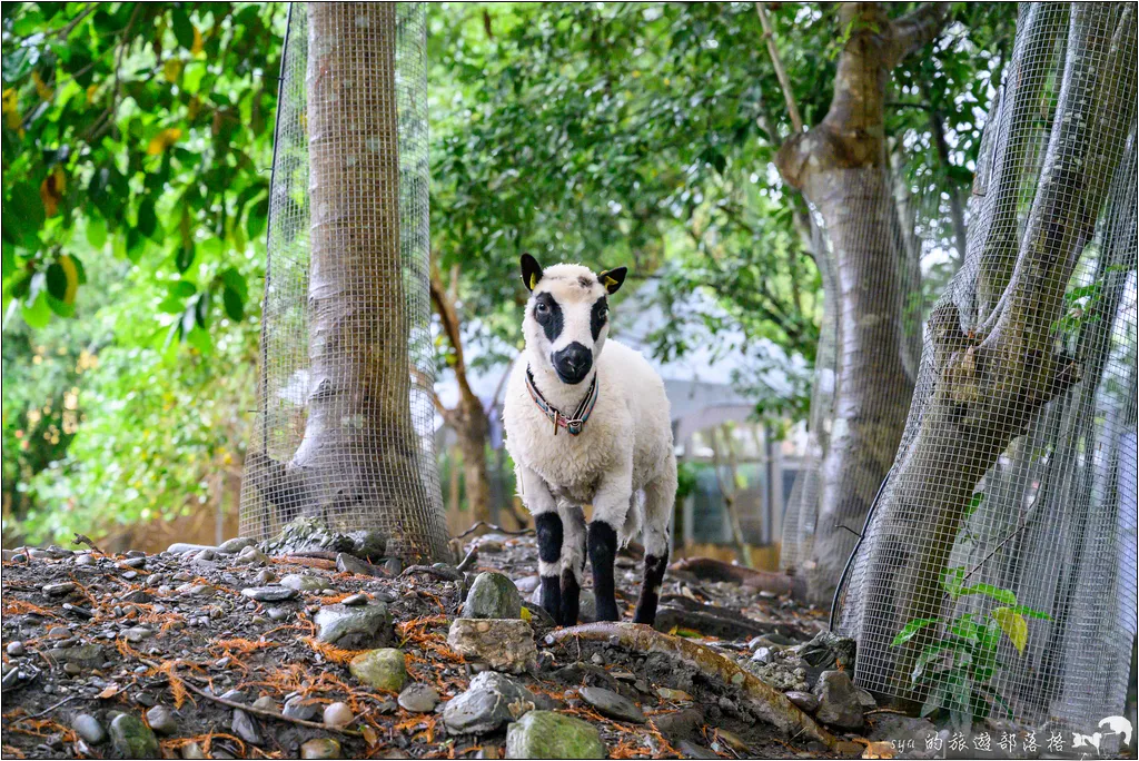 水岸森林物語動物園區