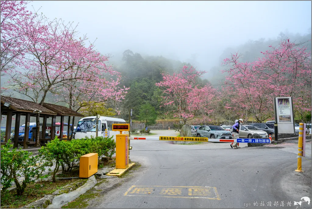 北橫 明池