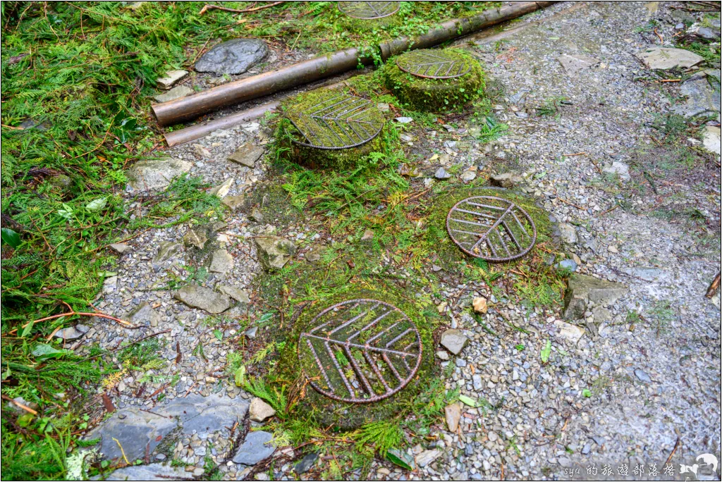 太平山 山毛櫸步道