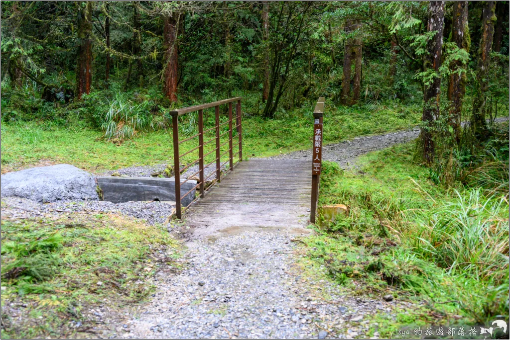 太平山 山毛櫸步道