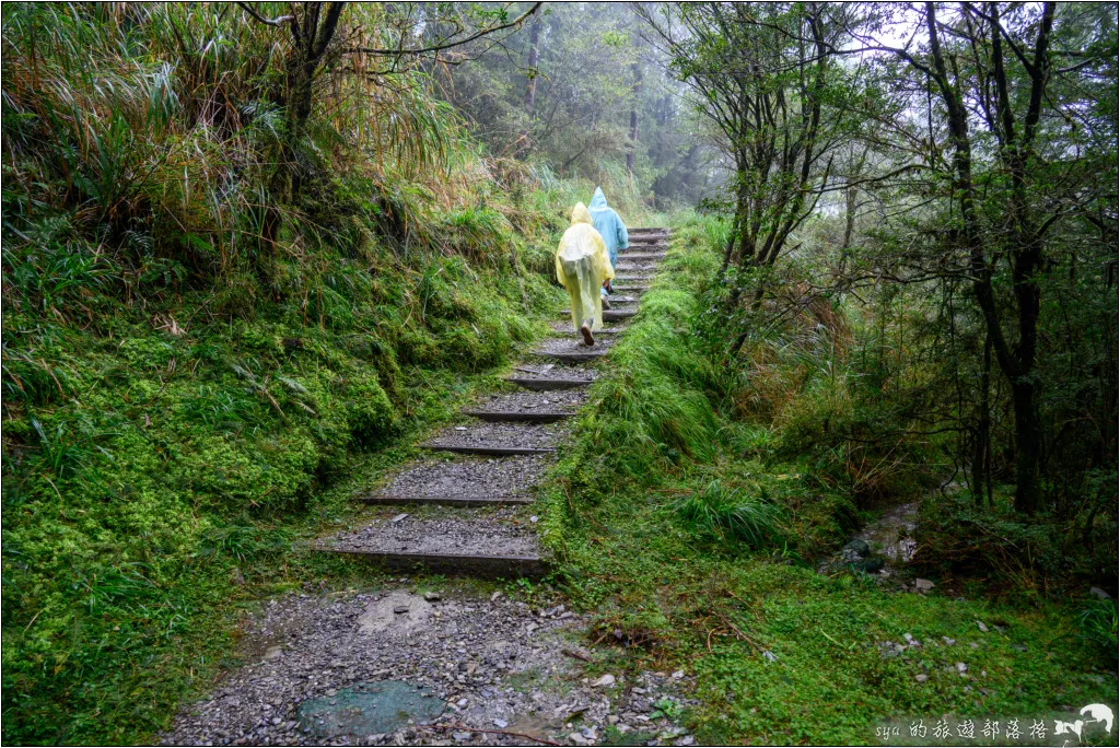 太平山 山毛櫸步道