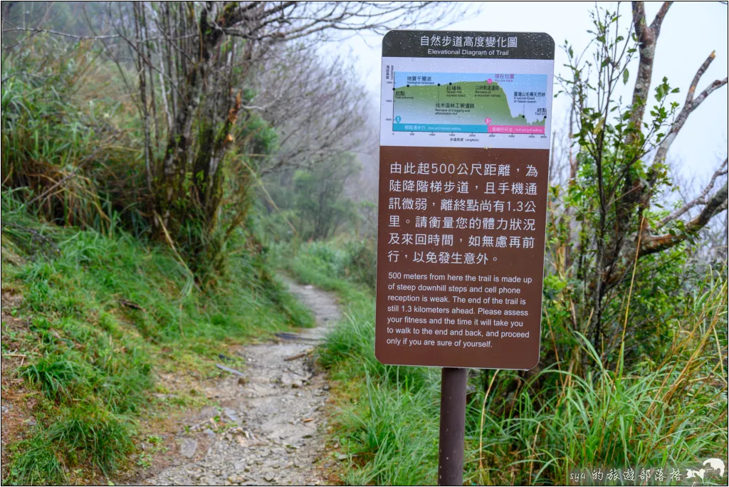 太平山 山毛櫸步道