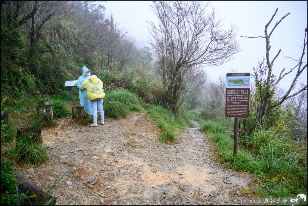 太平山 山毛櫸步道