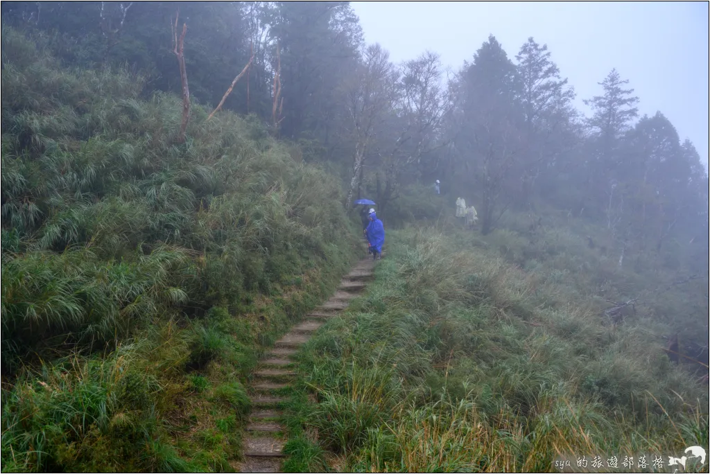 太平山 山毛櫸步道