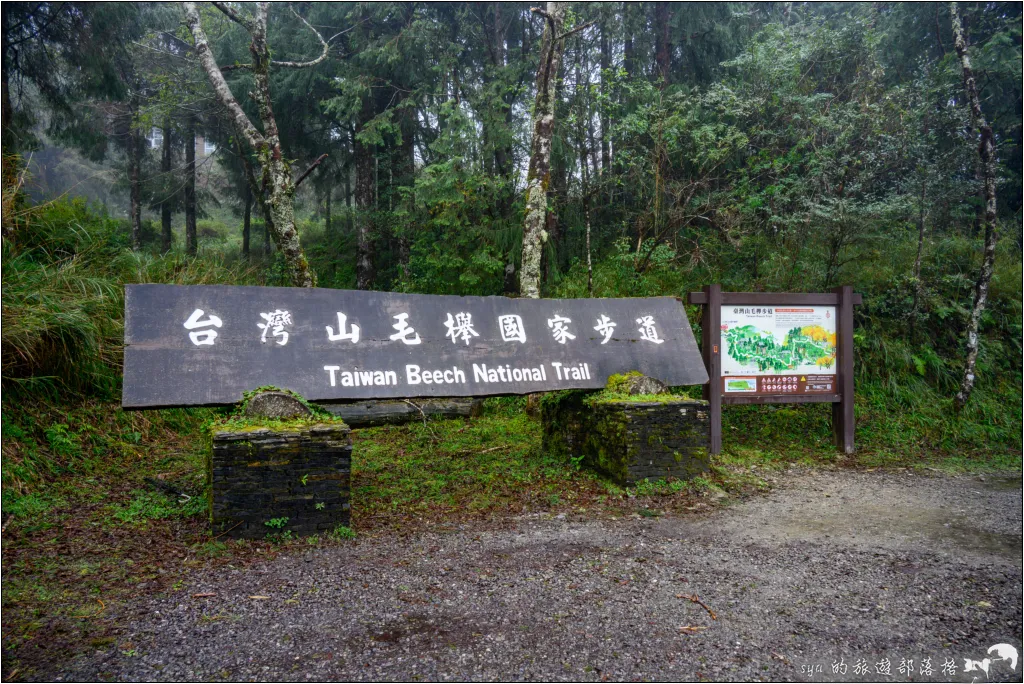 太平山 山毛櫸步道