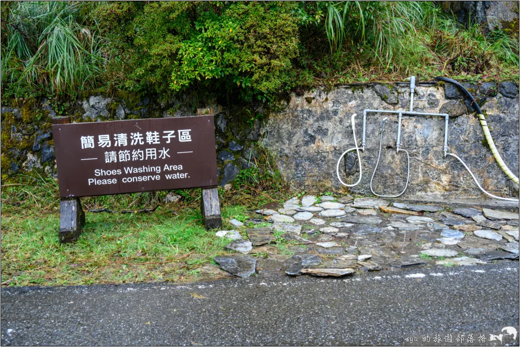 太平山 山毛櫸步道