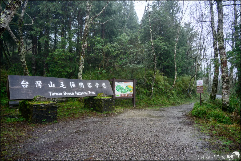 太平山 山毛櫸步道