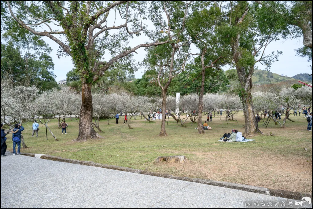 角板山公園、角板山行館、角板山梅花季、角板山戰備隧道