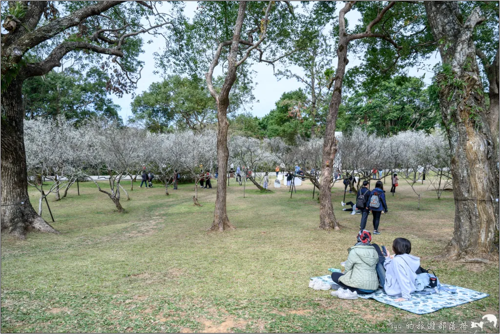 角板山公園、角板山行館、角板山梅花季、角板山戰備隧道