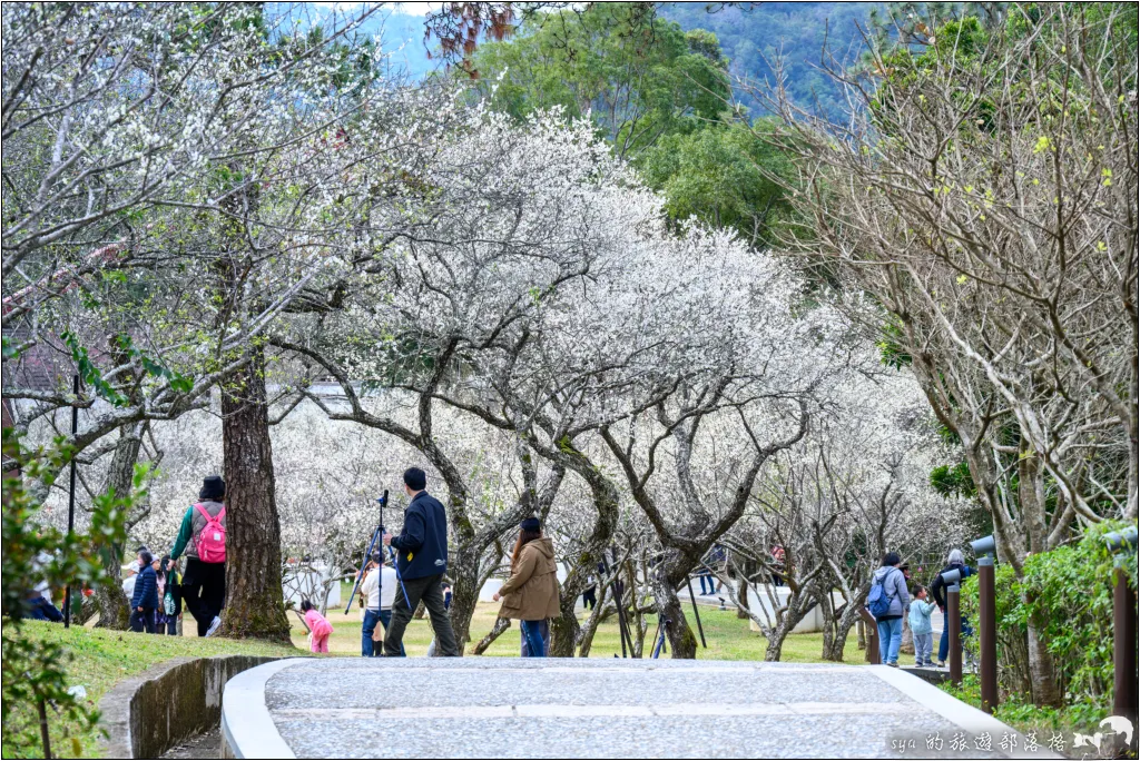 角板山公園、角板山行館、角板山梅花季、角板山戰備隧道