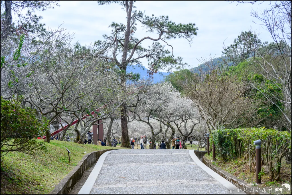 角板山公園、角板山行館、角板山梅花季、角板山戰備隧道