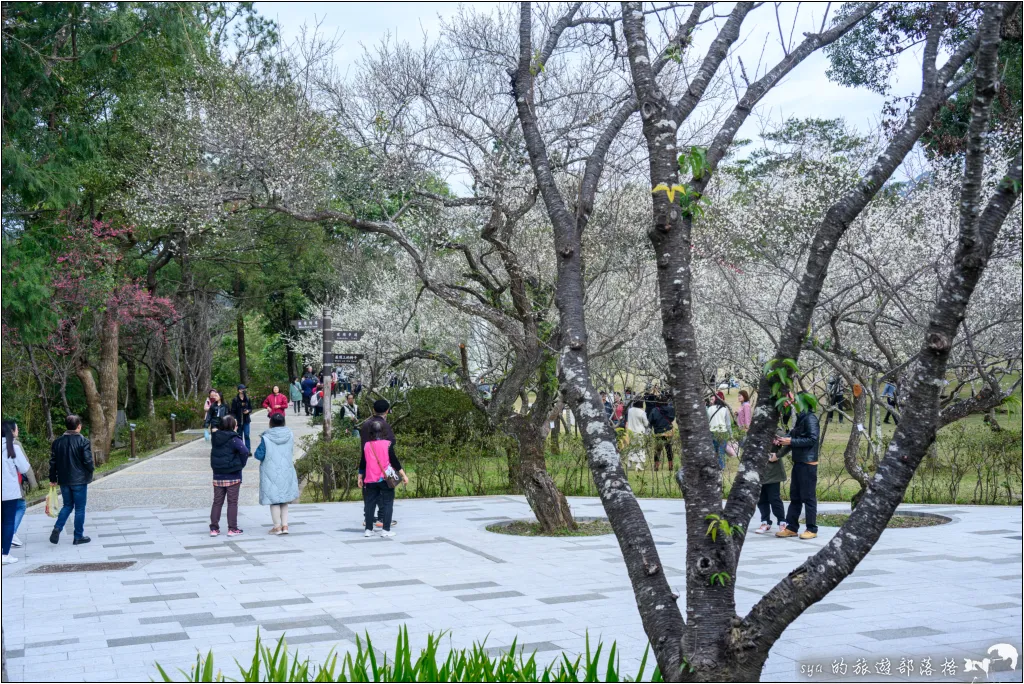 角板山公園、角板山行館、角板山梅花季、角板山戰備隧道