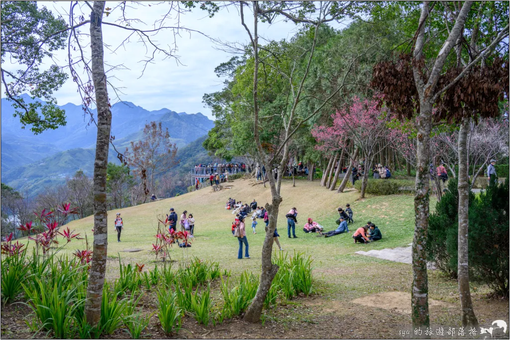 角板山公園、角板山行館、角板山梅花季、角板山戰備隧道