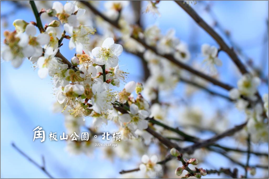 角板山公園