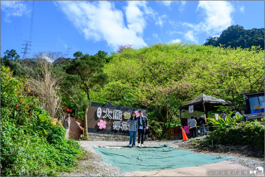 三峽大熊櫻花林