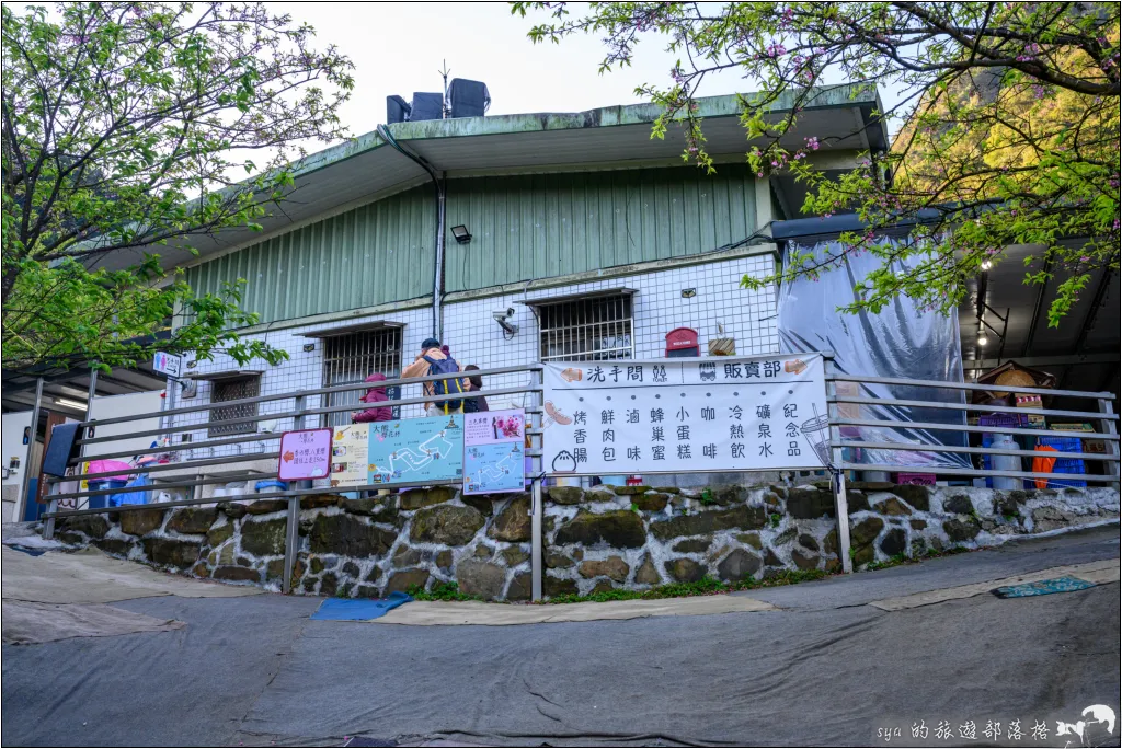 三峽大熊櫻花林