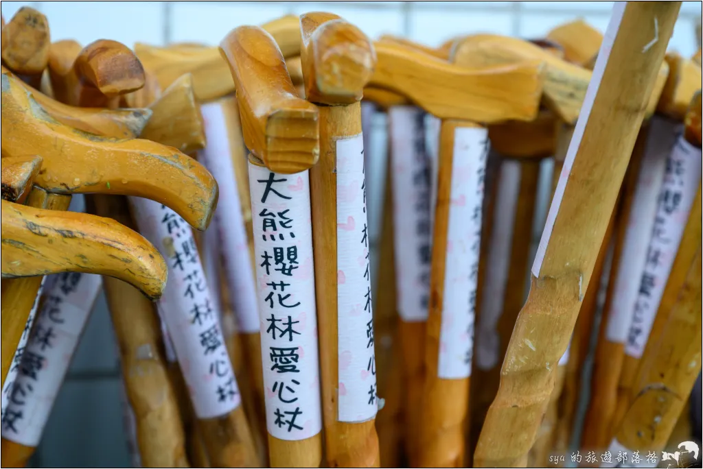 三峽大熊櫻花林