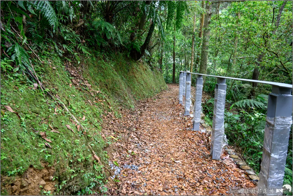 望古瀑布步道|適合週末親子同遊的輕鬆健行路線,螢火蟲季這裡也是很不錯的拍攝點 21 平溪線之十分、望古、嶺腳,望古瀑布步道