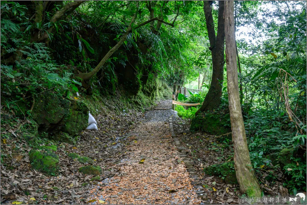 望古瀑布步道|適合週末親子同遊的輕鬆健行路線,螢火蟲季這裡也是很不錯的拍攝點 24 平溪線之十分、望古、嶺腳,望古瀑布步道