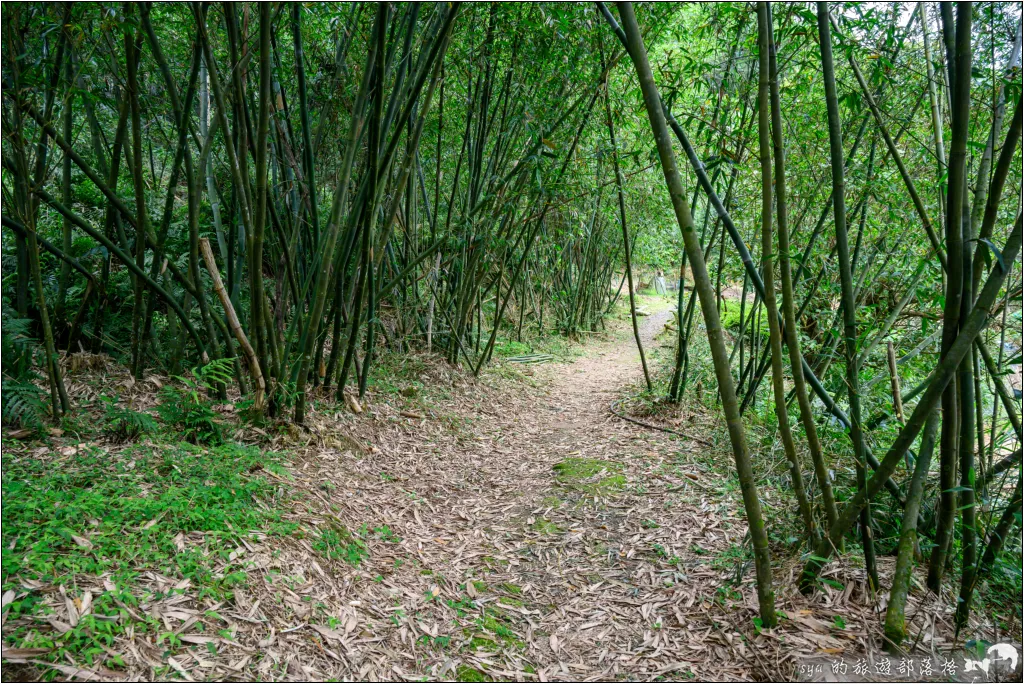 望古瀑布步道|適合週末親子同遊的輕鬆健行路線,螢火蟲季這裡也是很不錯的拍攝點 30 平溪線之十分、望古、嶺腳,望古瀑布步道