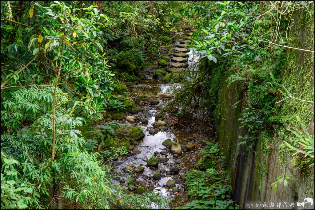 望古瀑布步道|適合週末親子同遊的輕鬆健行路線,螢火蟲季這裡也是很不錯的拍攝點 35 平溪線之十分、望古、嶺腳,望古瀑布步道