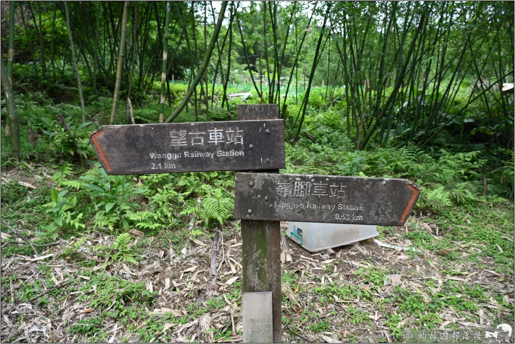望古瀑布步道|適合週末親子同遊的輕鬆健行路線,螢火蟲季這裡也是很不錯的拍攝點 39 平溪線之十分、望古、嶺腳,望古瀑布步道
