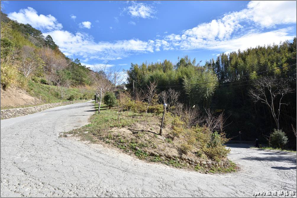 可能司馬庫斯產業道路是提前修建完畢，所以今年聖誕節前來的遊客不像往年在網路上看到的那麼多遊客。輕鬆走在部落的車道上，很幸福、很悠哉阿～