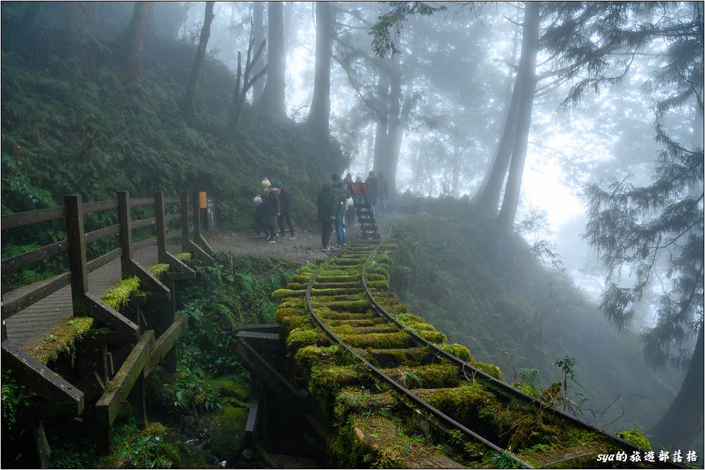 怡人的闔家賞景步道