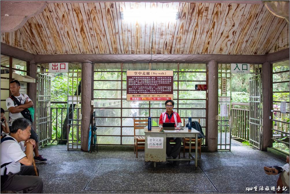 溪頭森林遊樂區 溪頭自然教育園區 空中走廊