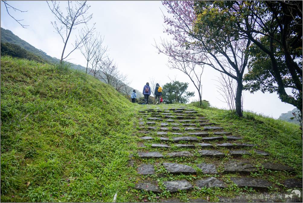 這段步道是一條從大屯第一停車場連接至二子坪步道的連接步道，沿途還可以看到大屯第二停車場。